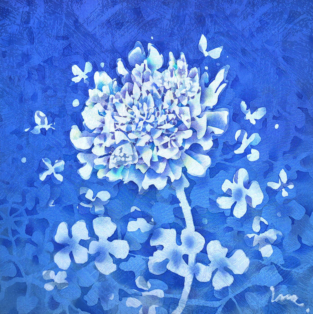 "somébloom-6-"