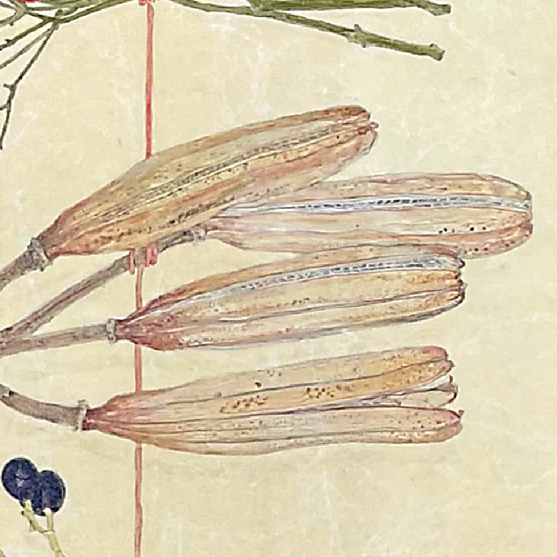 "捉迷藏"平松绘美