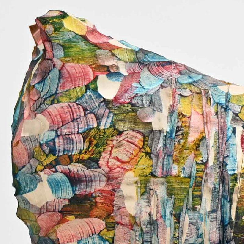 "layered" – animals-♯01山下圭介