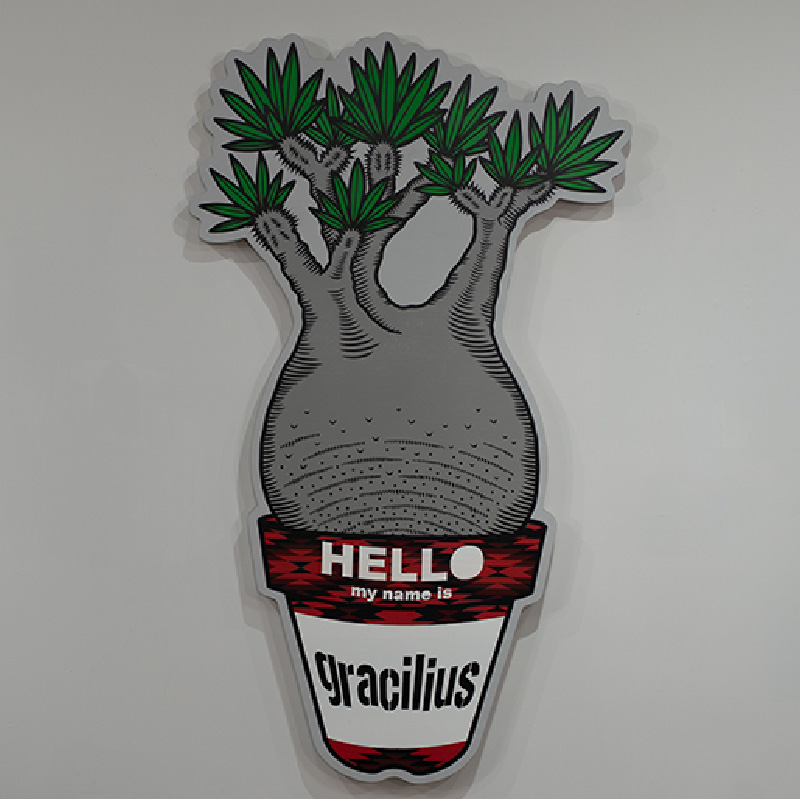 gracilius#1(2025年)