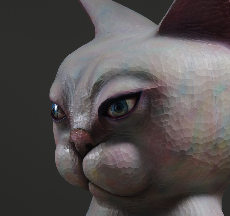 大的猫