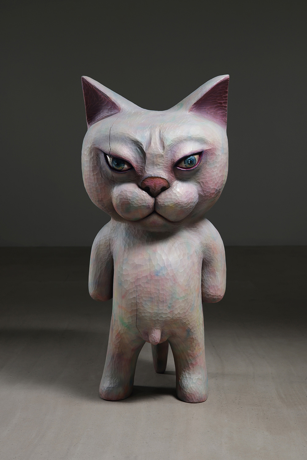 大的猫