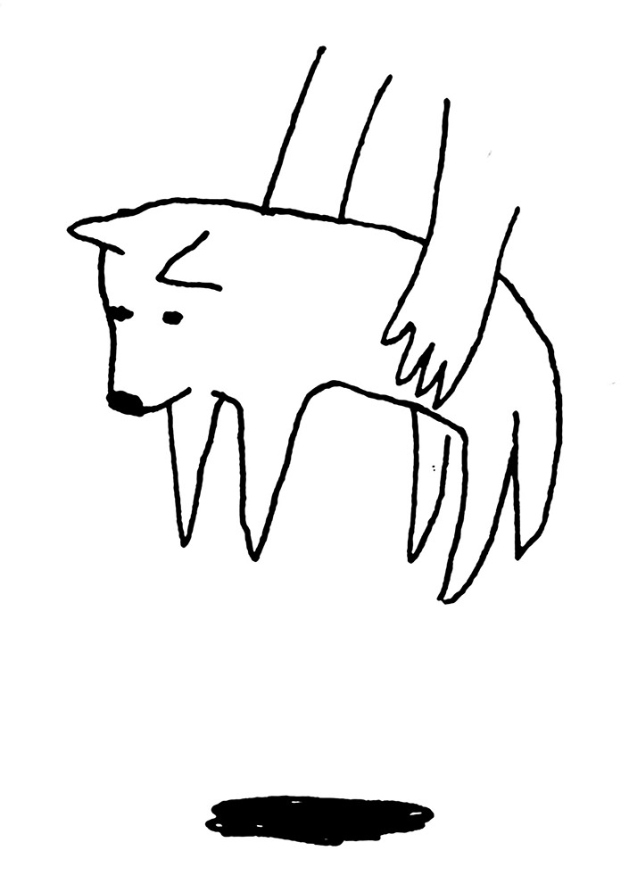 有狗